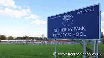 Fighting and bullying plunge Netherley primary school into special measures