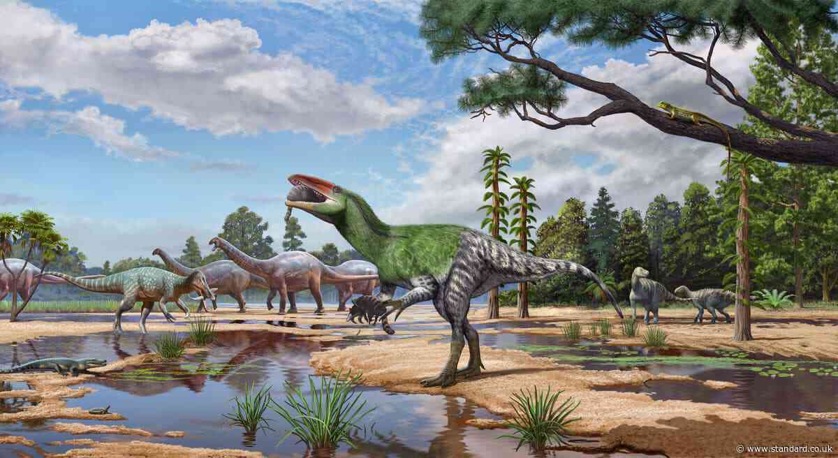 New dinosaur species discovered from fossil ‘overlooked’ for over 100 years