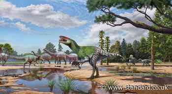 New dinosaur species discovered from fossil ‘overlooked’ for over 100 years