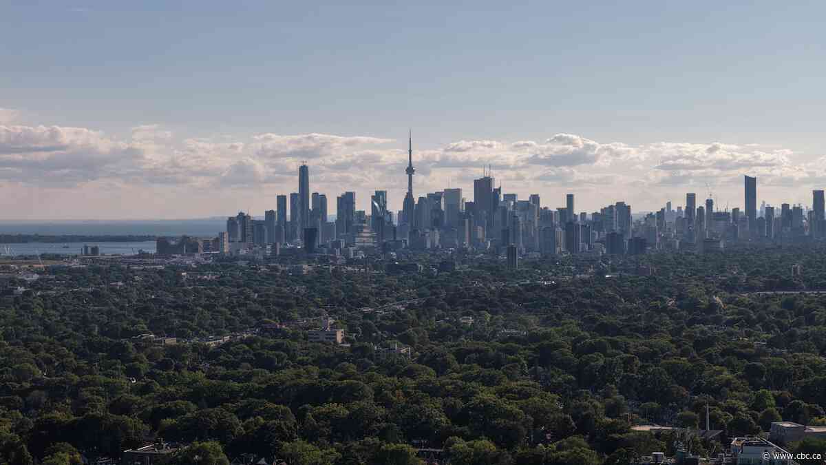 Why 18 candidates are fighting for this Toronto council seat