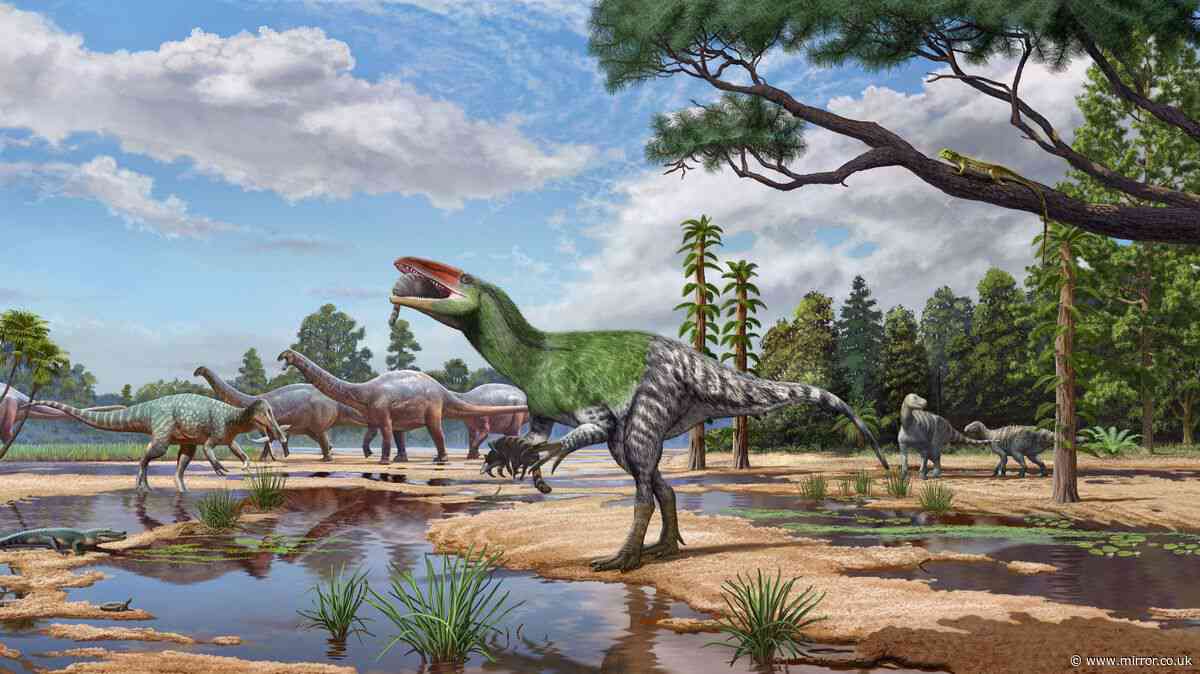 New dinosaur species which preyed on humans discovered from Isle of Wight fossil 'overlooked' for 100 years