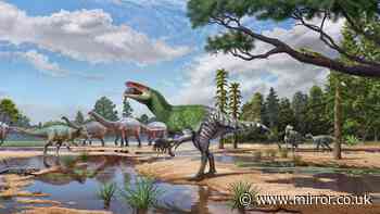 New dinosaur species which preyed on humans discovered from Isle of Wight fossil 'overlooked' for 100 years