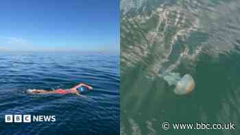 Woman braves jellyfish and seals to conquer Channel swim