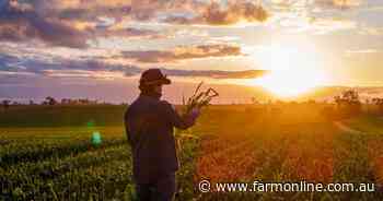 How shifting US corn and Russian wheat balances are driving grain prices
