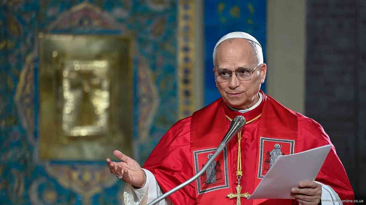 Pope Leo XIV diagnosed with lung cancer after 'successful' surgery, Vatican confirms