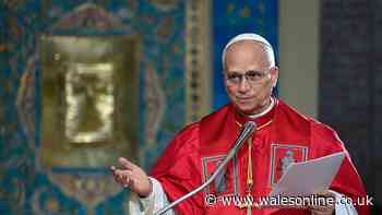 Pope Leo XIV diagnosed with lung cancer after 'successful' surgery, Vatican confirms