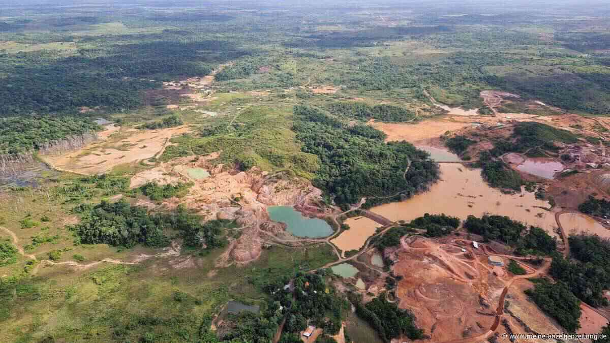 Gefährlicher Kurs: Länder holzen viel zu viel Regenwald ab