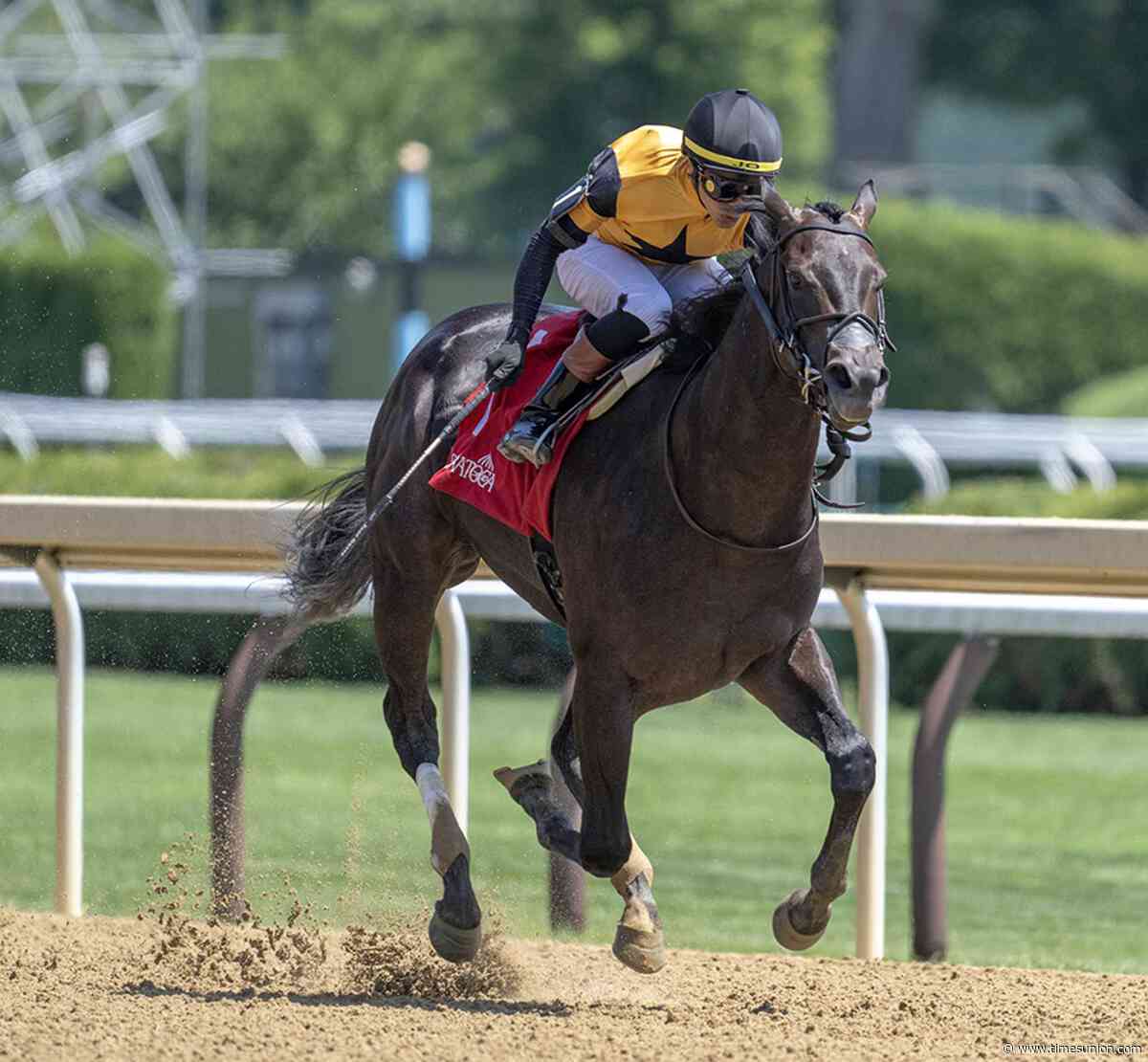 Ewing, winner of 2025 Saratoga Special, dies at 3