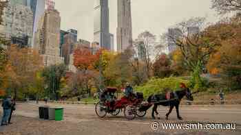 New York’s famous Central Park horse-drawn carriages set to be banned
