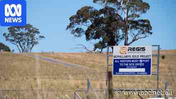 Court dumps Plibersek heritage decision that halted $1b gold mine