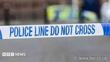 Pedestrian in 70s dies after being hit by car