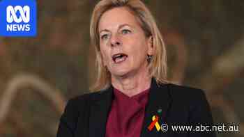 Live: Liberal MP who made controversial 'stoning' remarks in parliament calls minister