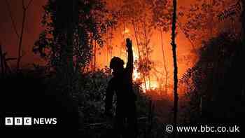 Who's to blame for the toxic smog choking South East Asia?