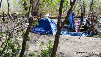 Chronic homelessness in Winnipeg greatly overestimated due to faulty data, memo says