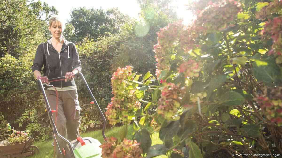 Minijobber für Gartenarbeit bringt nicht nur Steuervorteil