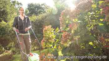 Minijobber für Gartenarbeit bringt nicht nur Steuervorteil