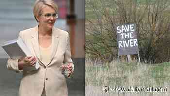 Major court win for gold mine that Tanya Plibersek blocked because of its place in Aboriginal creation stories