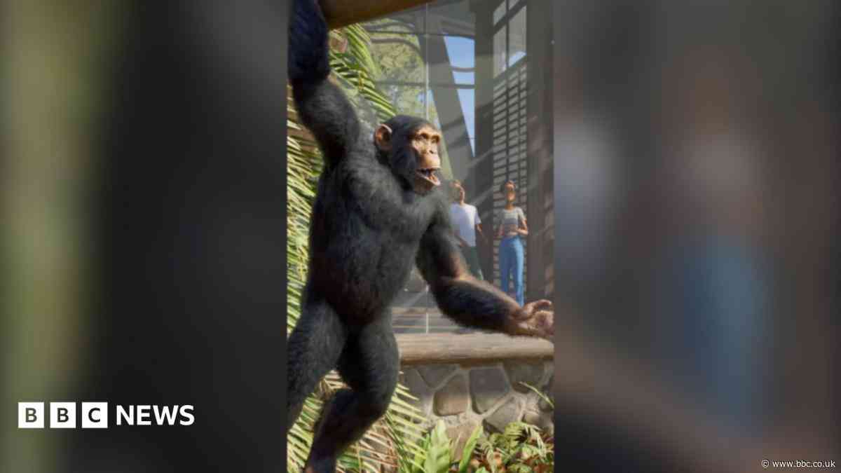 Can a video game really help zoos?