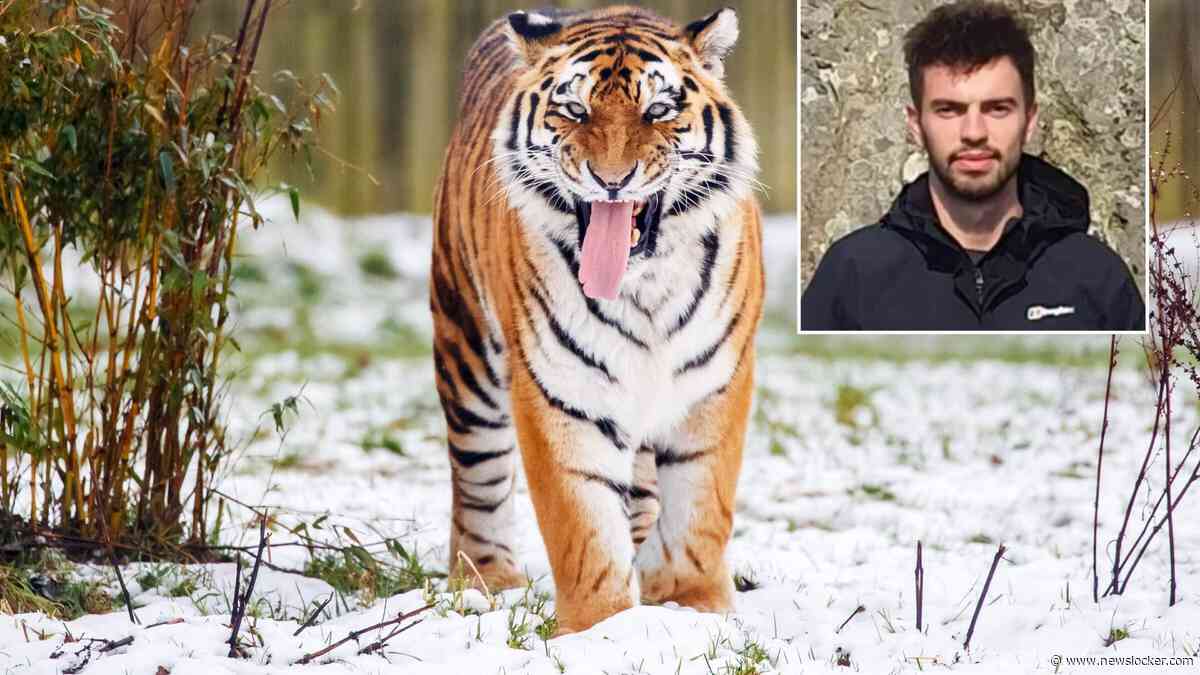 William (23) sprong in tijgerverblijf en filmde het dier dat hem doodde: ’Hopen te achterhalen waarom onze zoon dit deed’