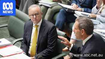 Live: Albanese denies rift with Chalmers over tax office intervention