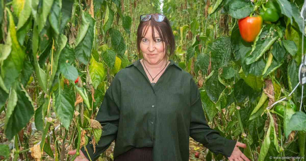 Inge voelt plakkerig laagje op haar paprika’s, dan ziet ze overal witte beestjes: ‘Je schaamt je ervoor als teler’