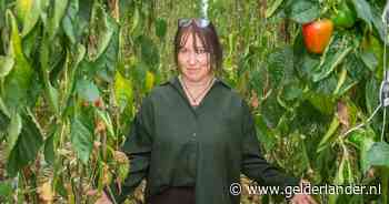 Inge voelt plakkerig laagje op haar paprika’s, dan ziet ze overal witte beestjes: ‘Je schaamt je ervoor als teler’