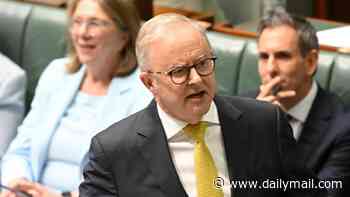 PETER VAN ONSELEN: Anthony Albanese's two versions of events - as the PM takes credit for ATO backflip before insisting it wasn't his doing