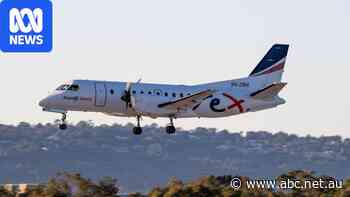Rex grounds two routes 10 months after $60m rescue package