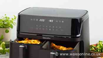 Family-sized air fryer perfect for midweek meals without turning on the oven