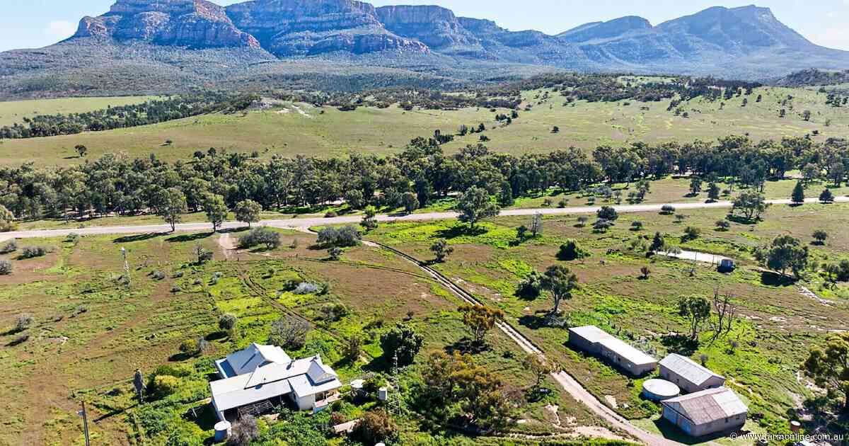 Talks continue on sale of SA sheep stations after auction hit $7.25m