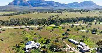Talks continue on sale of SA sheep stations after auction hit $7.25m