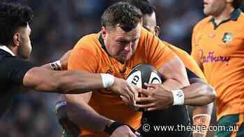 Wallabies beef up bench for Bledisloe Cup as star faces fitness test