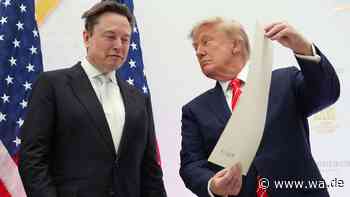 Musk mischt Midterms auf: Gewaltige Finanzspritze soll Republikaner aus Umfragentief retten
