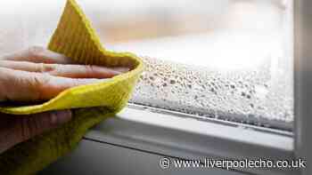 Condensation on windows 'disappears' with easy method – but you should be wary