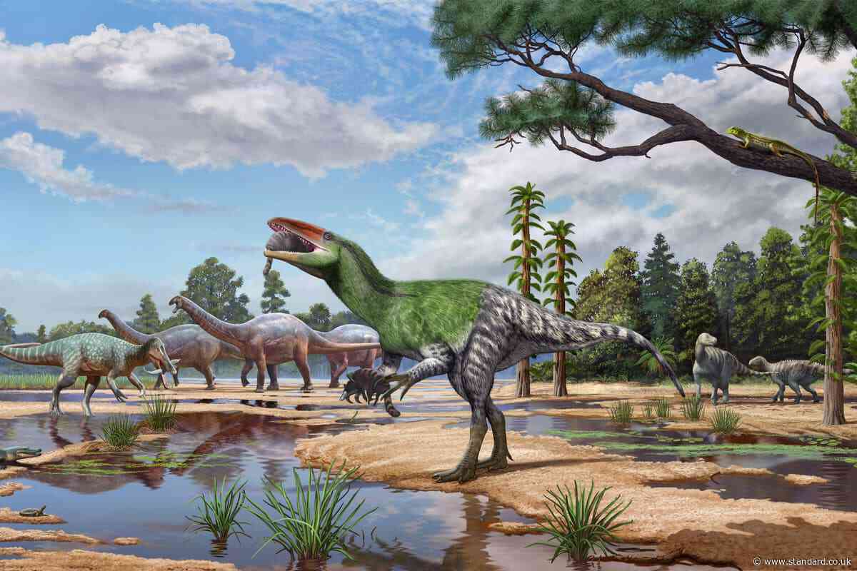 New species of dinosaur discovered from fossil ‘overlooked’ for over 100 years