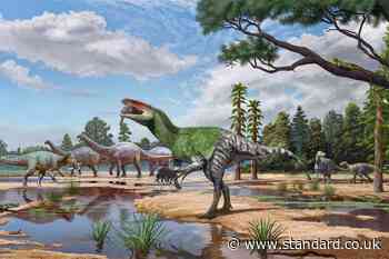 New species of dinosaur discovered from fossil ‘overlooked’ for over 100 years