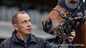 Maher’s Jenni set to take battle-ready Autumn Glow into the unknown