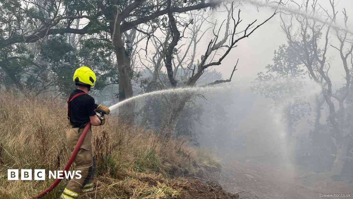 Report reveals strain on crews tackling 40-day fire