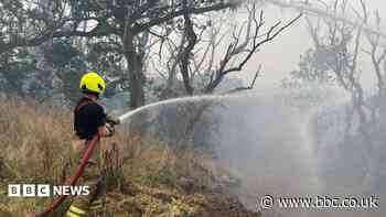 Report reveals strain on crews tackling 40-day fire