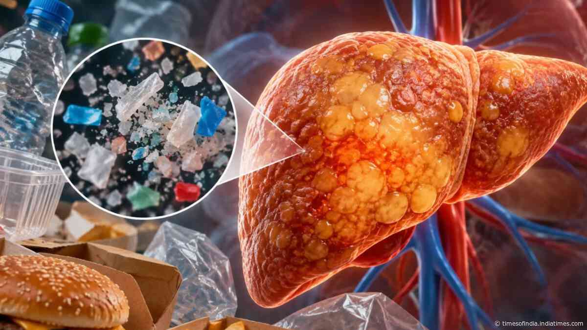 Polyethylene Microplastics And Liver Risk: Texas A&amp;M links exposure to fatty liver signs; questions remain for human health