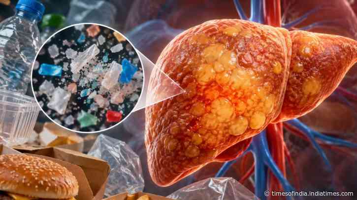 Polyethylene Microplastics And Liver Risk: Texas A&amp;M links exposure to fatty liver signs; questions remain for human health