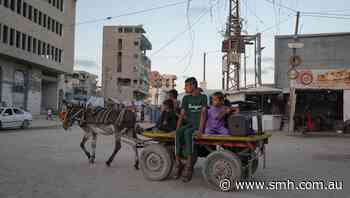 Donkey prices in Gaza skyrocket from $US1000 to $US30,000