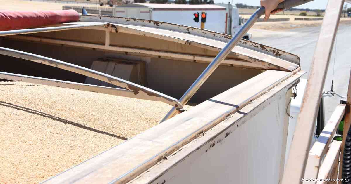 'Win for common sense': roll-out of tough new phosphine rules delayed in WA