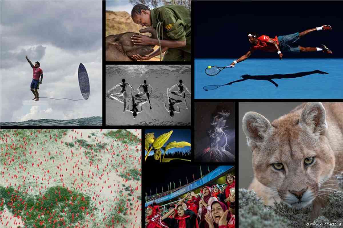 Natuur en sport keren terug als categorie bij World Press Photo