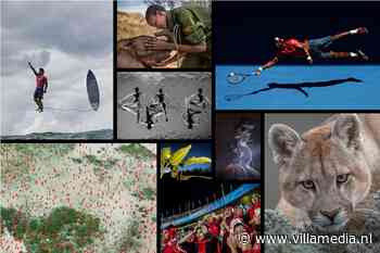 Natuur en sport keren terug als categorie bij World Press Photo