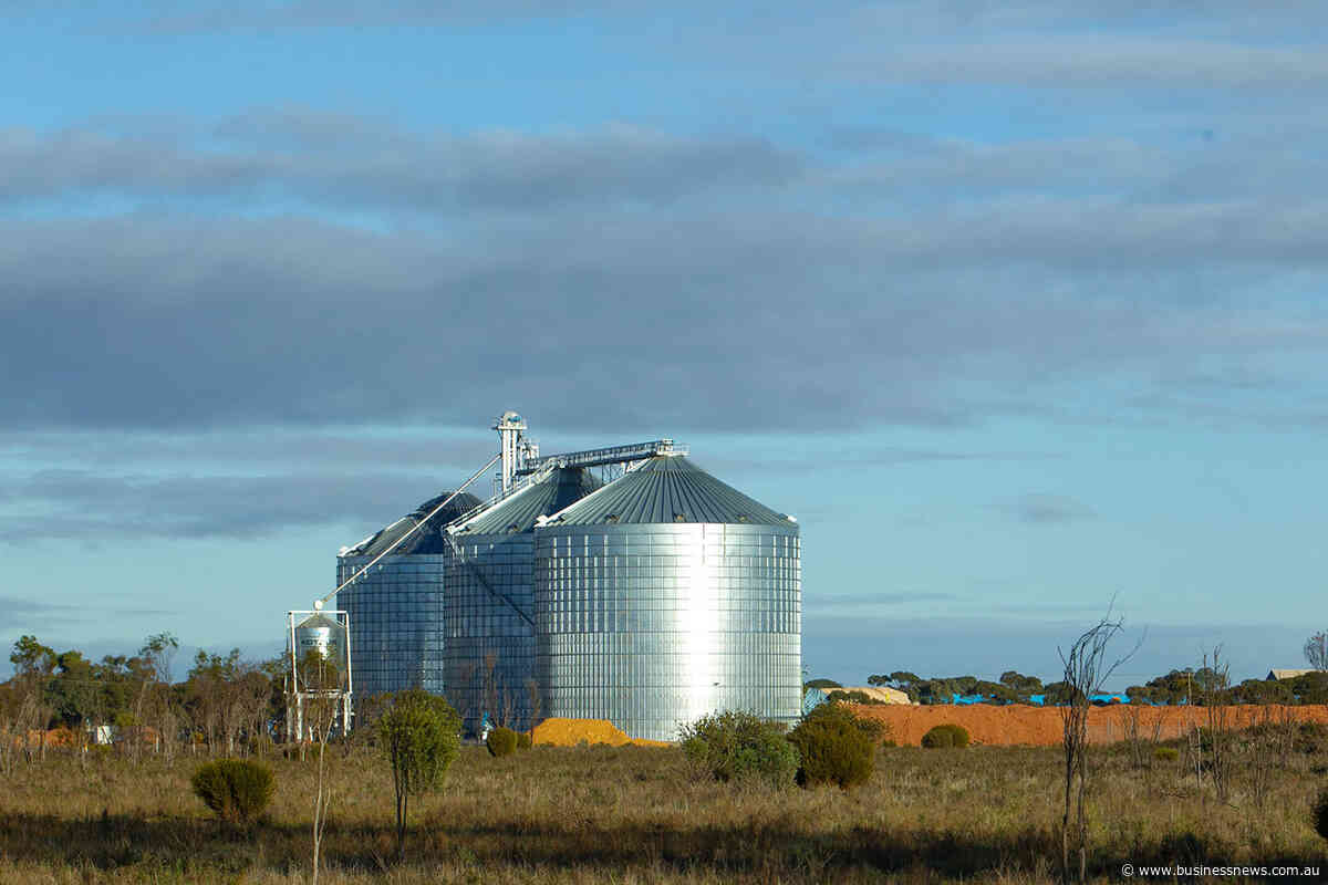 WA government delays implementation of new phosphine limits