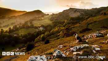 Welsh government does not want new northern national park, minister says