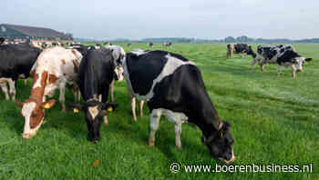 FrieslandCampina gaat weidegang anders belonen