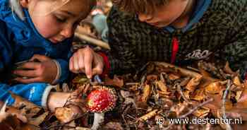 Brocante markt, bierproeverij en meer: dit is er te doen in de herfstvakantie (17-25 oktober)