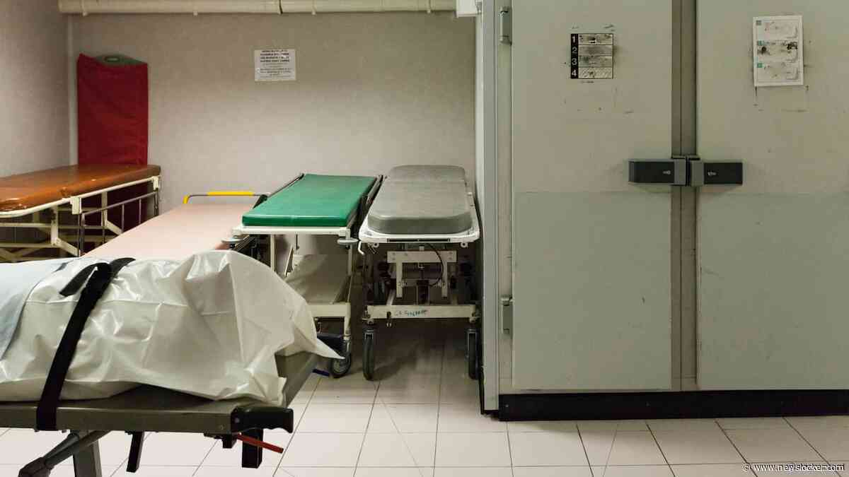 Lichaam overleden Fransman na veertien jaar gevonden in mortuarium Toulouse